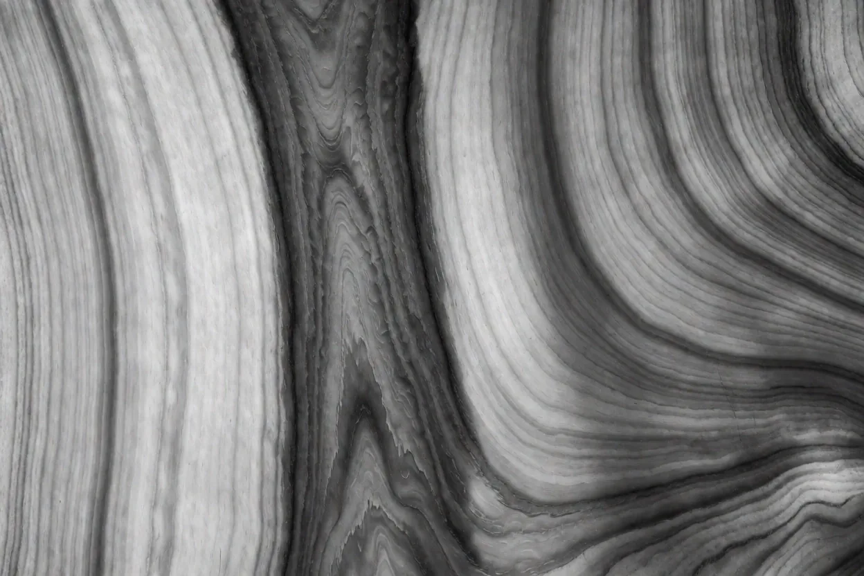 Texture noyer